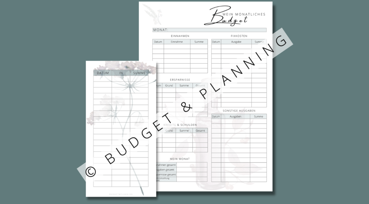 Budgetvorlage und Budgetsheet